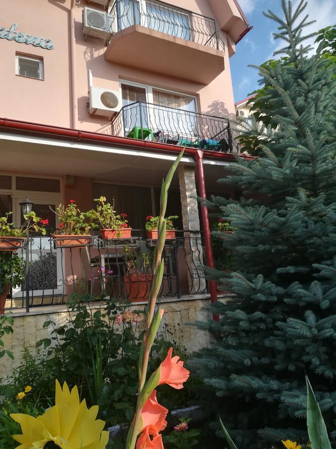 Hotel Casa Dalena Costineşti Exteriér fotografie