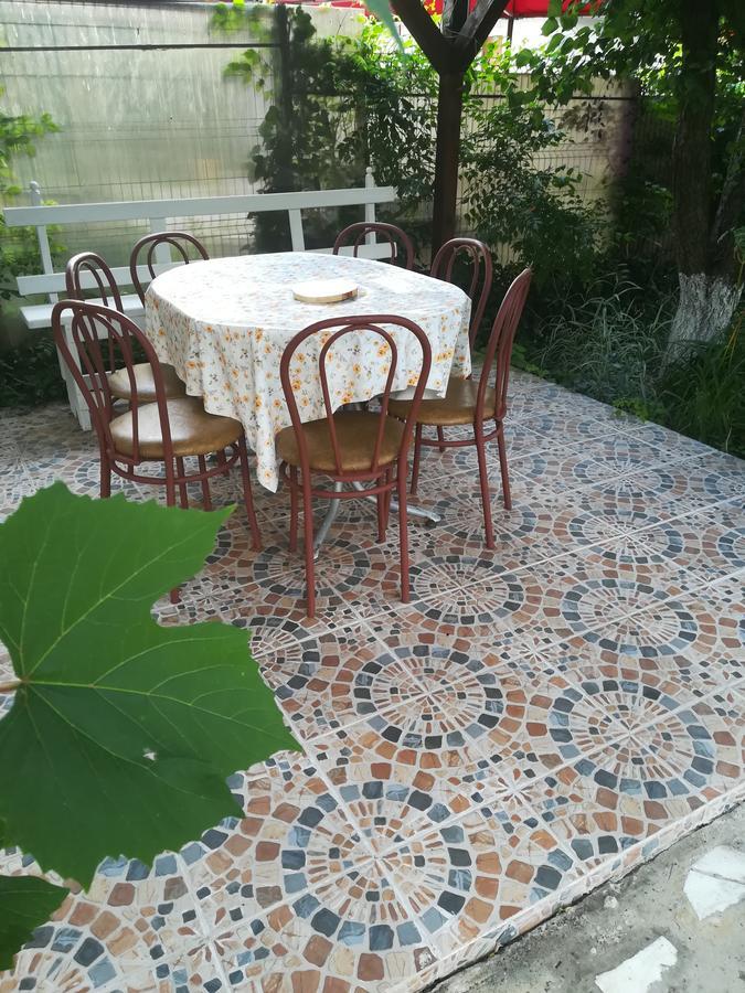 Hotel Casa Dalena Costineşti Exteriér fotografie
